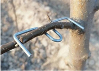 13CM 길이 아연 도금 나뭇가지 누르는 도구 Furit 나무 사용
