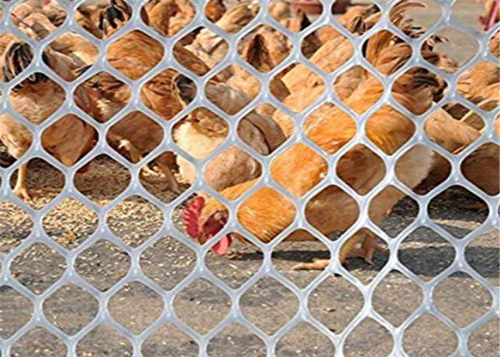 착용 저항 닭 오리 먹이기를 위한 플라스틱 가금류 그물세공 및 동물은 보호합니다