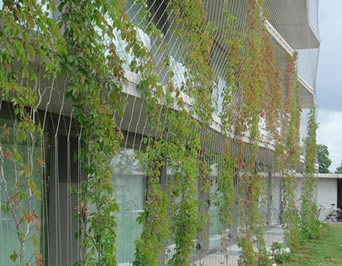 녹색 정면은 낙하 사고를 막기 위해 건축물의 밖을 커버합니다.